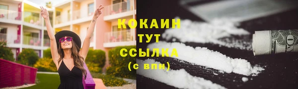 крисы Сосновоборск