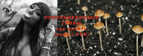 прущий лед Белоозёрский
