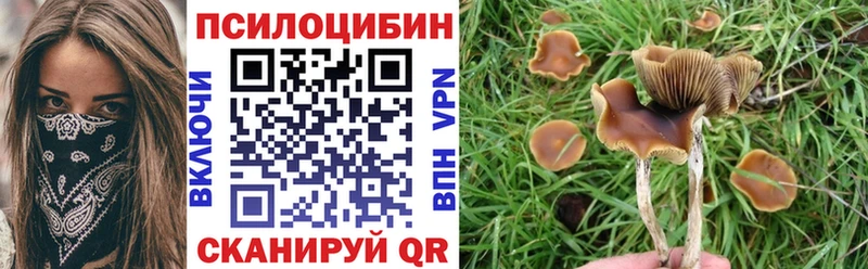 купить наркоту hydra ссылка Галлюциногенные грибы мицелий Югорск